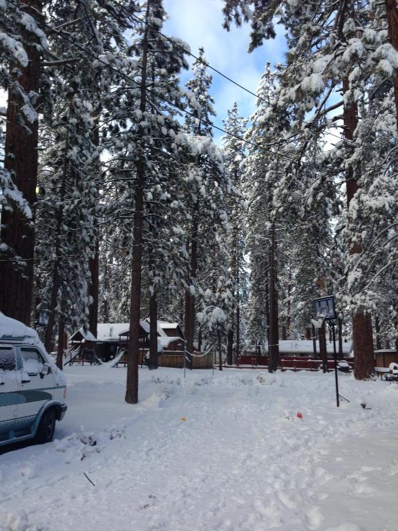 Majestic Moose Lodge - Coptic Village Big Bear Lake Exterior foto