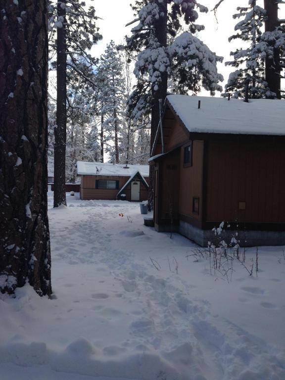 Majestic Moose Lodge - Coptic Village Big Bear Lake Exterior foto