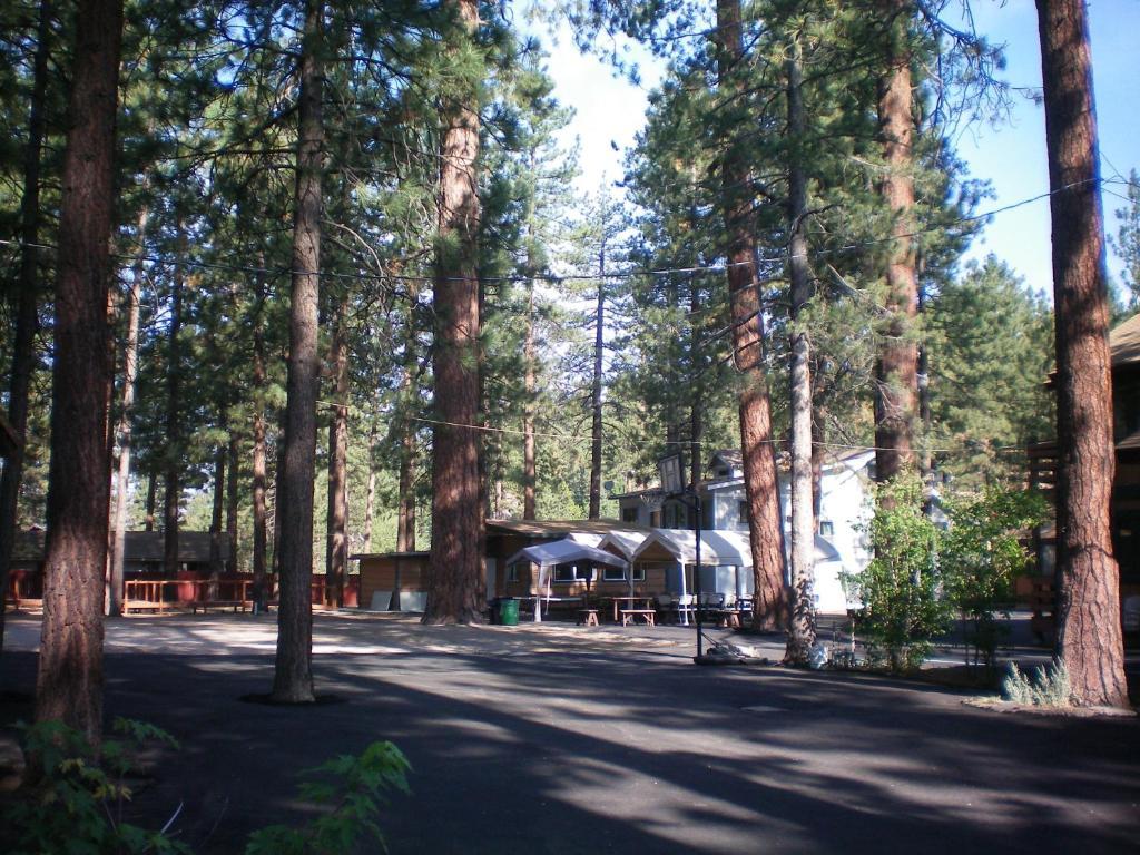 Majestic Moose Lodge - Coptic Village Big Bear Lake Exterior foto