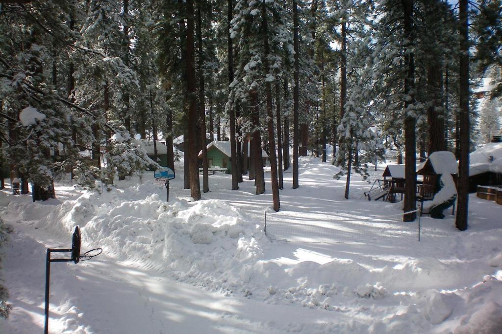 Majestic Moose Lodge - Coptic Village Big Bear Lake Exterior foto